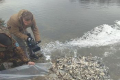 Водойми України поповнилися понад 20 тоннами риби