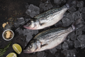 Понад третина риби і морепродуктів у 2021 році імпортувалося з Норвегії