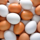 Середня ціна реалізації яєць підприємствами з початку року знизилася на 17,4%