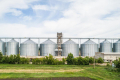 Елеватори «Новаагро» прийняли на зберігання понад 230 тис. тонн зерна
