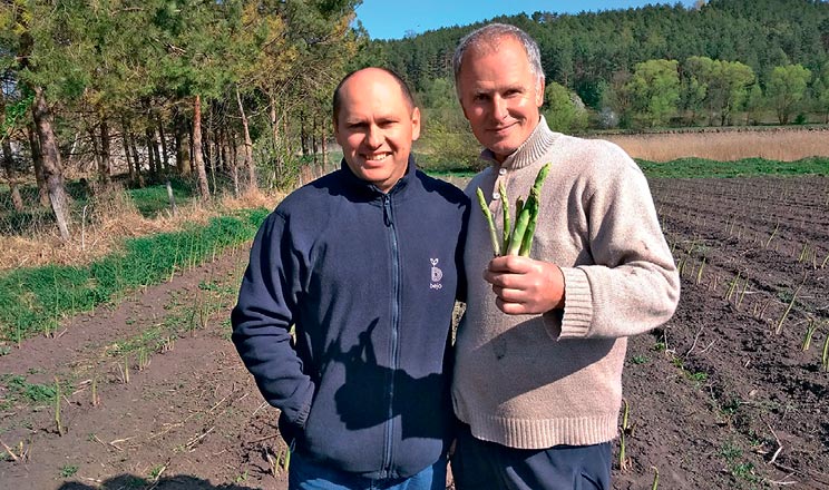 ФГ Іщук та «Бейо Україна» два роки тому заклали експериментальну ділянку з вирощування спаржі
