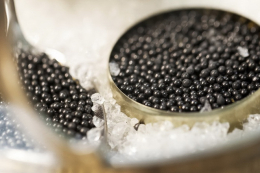 Як чорна ікра з Китаю стає «європейською»