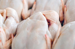 Виручка від експорту м'яса птиці істотно перевищує минулорічну