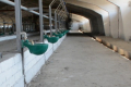 Grain Alliance реконструював тваринницьке приміщення на 200 корів