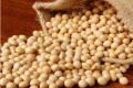 Митна служба попередила ввезення в Україну ГМО-сої