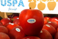 Українські експортери яблук збільшили продажі в Африці