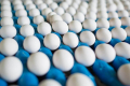 За 11 місяців експорт яєць приніс у 2,2 раза менше виручки