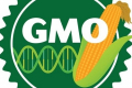 В Мінекономіки створили робочу групу з питань регулювання ГМО