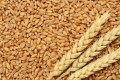 Україна експортувала понад 46 млн тонн зерна