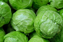 Ціни на редиску та капусту на Закарпатті знижуються через наростання врожаю