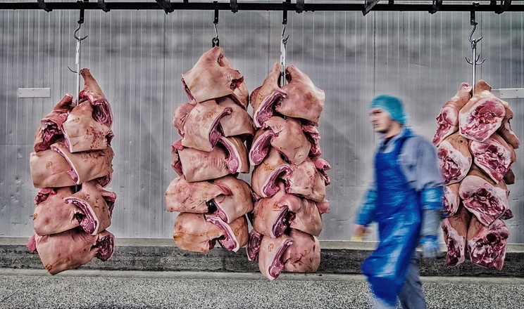 У Німеччині виробники м'яса переходять до прямого найму працівників