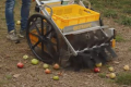 Електричний візок збирає яблука, груші та горіхи