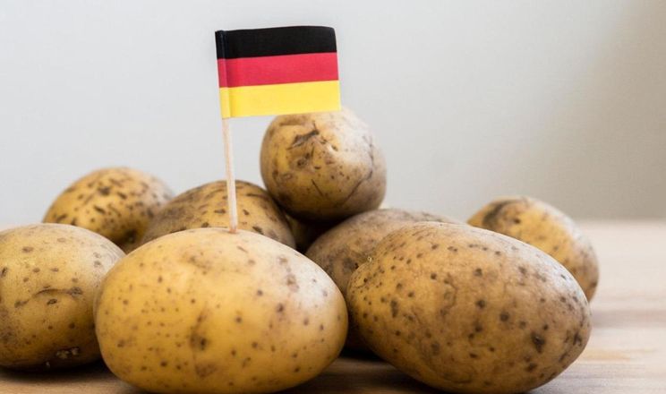 На «Дні картоплі» представили нові сорти німецької селекції
