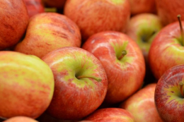 Логістика українських яблук ускладнилася через конфлікт на Близькому Сході