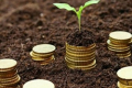 ФАО закликає інвестувати в надзвичайні заходи у сільському господарстві