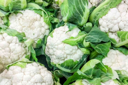 Брокколі та цвітна капуста втратили площі через дефіцит робочої сили