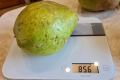 У Приазов’ї виростили майже кілограмові груші