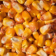 Найбільше на собівартість зерна з прямих витрат впливає ціна насіння, добрив та ЗЗР, – фахівець