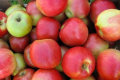 У США вивели три нових сорти яблук