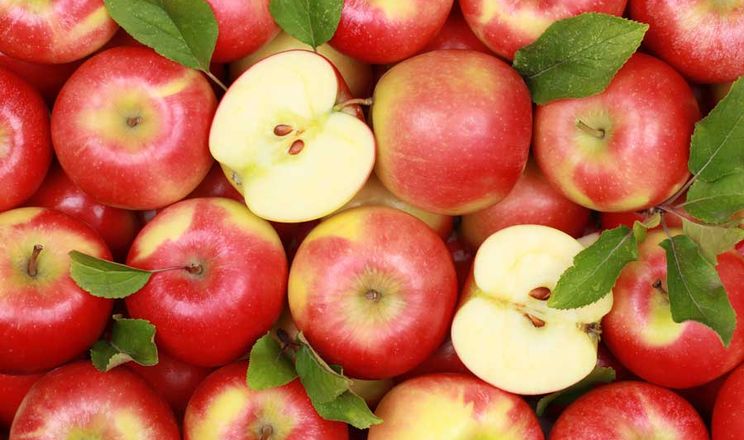 Експерт назвав найбільш експортовані сорти яблук