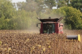 Дніпропетровщина зібрала понад 3,5 млн тонн зерна