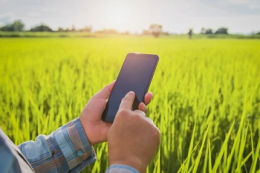 Фермерам пропонують підвищити ефективність роботи за допомогою цифрових технологій