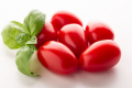 Представили продуктивний томат чері сливка Mistela F1