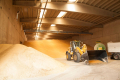 Ціни на зерно на елеваторах розширили діапазони