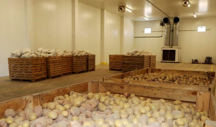 Вологість у картоплесховищі вимірюють нижче рівня вентиляторів та зволожувача