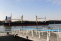 Ізмаїльський порт збільшив обсяги перевантаження олії та шроту соняшника