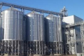 Елеватори Ristone Holdings прийняли на зберігання понад 180 тис. тонн зерна