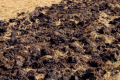 Заорювання соломи повертає у ґрунт до 40% елементів живлення і заощаджує кошти