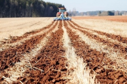 Як VITAGRO Agro оптимізує виробничі витрати