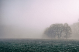 Прогноз погоди: на північному сході місцями невеликий дощ та мокрий сніг