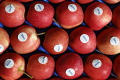 ФГ «Гадз» почало експортувати яблука у Велику Британію