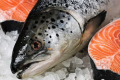 Скасована дія форми ветсертифіката на експорт риби і рибопродуктів із Данії