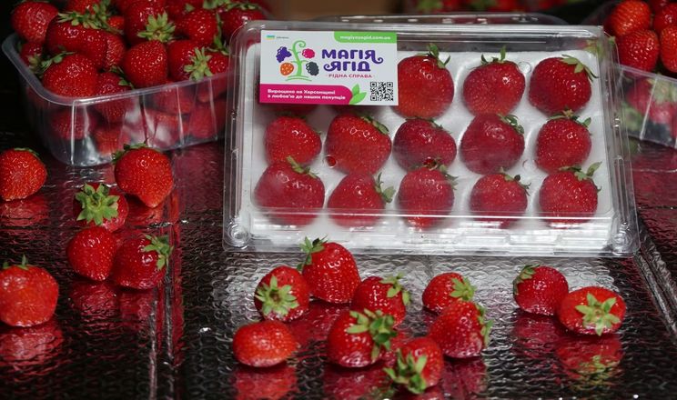 Група виробників навчилася продавати ягоди через інтернет