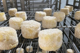 Тижневий обсяг виробництва переважної більшості  крафтярів не перевищує 500 кг/л, — дослідження