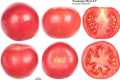 32 виробника об’єдналися для реклами малинових томатів