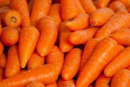 Морква дорожчає через нестачу якісної продукції
