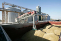 Минулого року морські порти перевалили 48 млн тонн зернових вантажів
