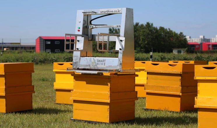 Робот-бджоляр удвічі прискорює збирання меду