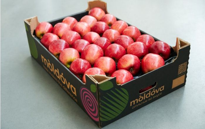 Молдавські яблука шукають ринки збуту