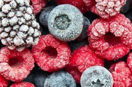 Світовий ринок зацікавився українськими замороженими ягодами на виставці у Берліні