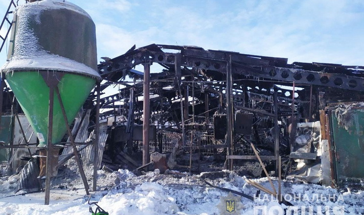 На Чернігівщині у пожежі загинуло близько 230 свиней