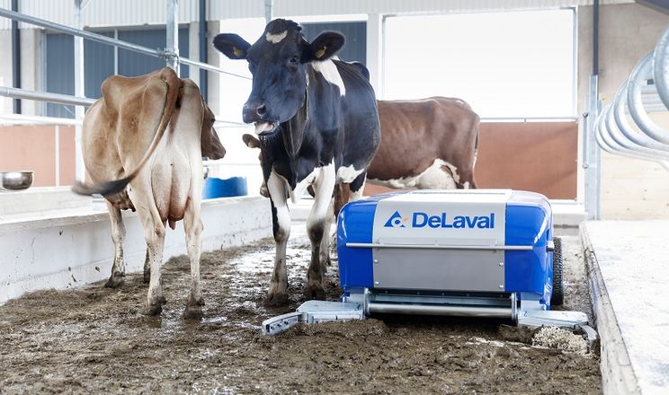 DeLaval презентував нових роботів-прибиральників для тваринництва