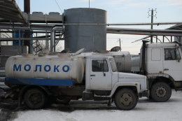За 11 місяців на перероблення надійшло майже 3 млн тонн молока