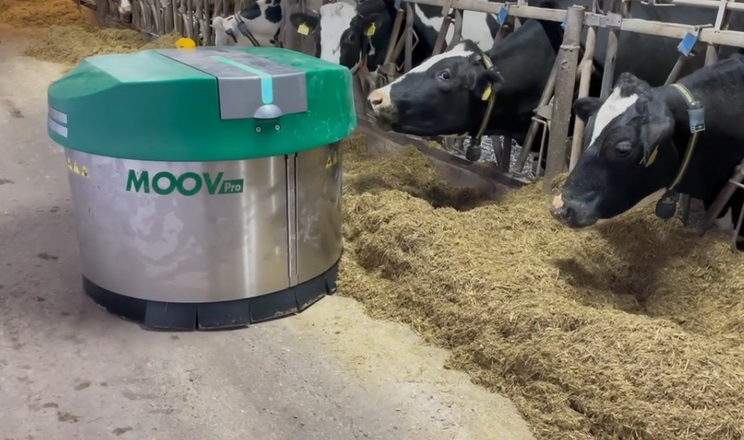 Львівська молочна ферма переклала підгортання кормів на робота