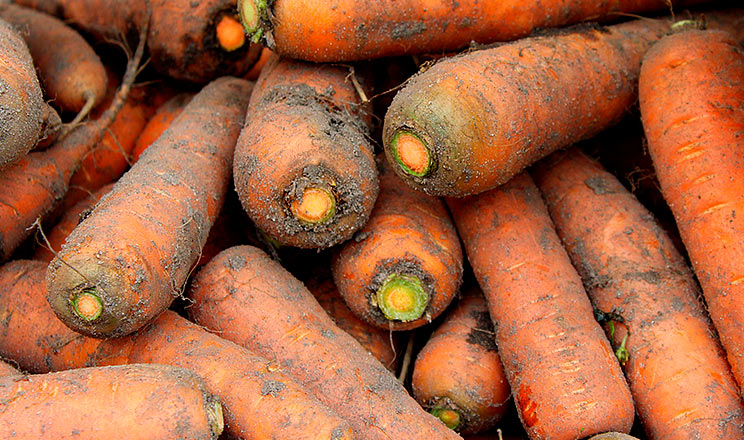 Зберігання моркви