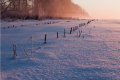 Сьогодні в Україні буде морозно і без опадів